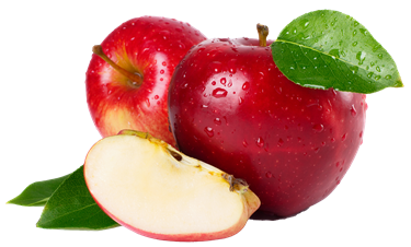 MACA